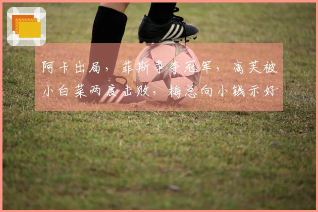 阿卡出局，菲斯争夺冠军，高芙被小白菜两度击败，梅总向小钱示好
